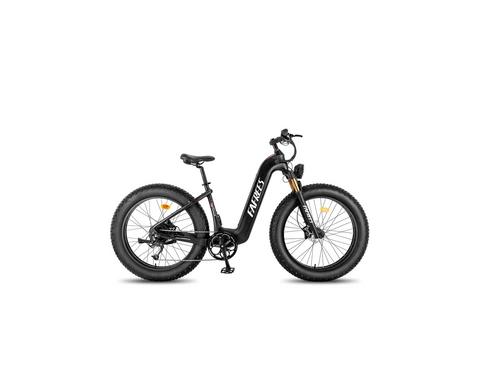 FAFREES F26 Carbon X E-bike