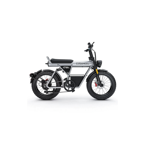 COSWHEEL CT20S Strong Power Electric Bike