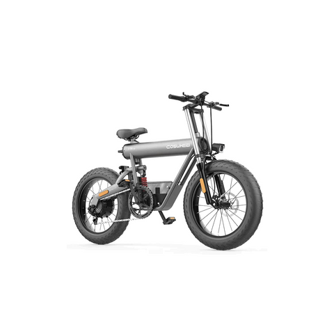Coswheel T20 All Terrain Cargo Electric Bike