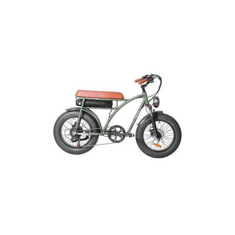 Bezior XF001 Retro Electric bike