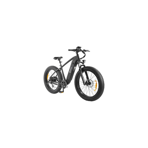 DYU King 750 Mountain E-Bike