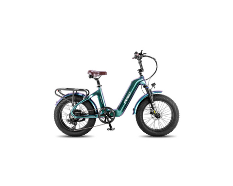 FAFREES F20 Master E-bike