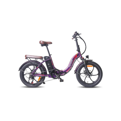 FAFREES F20 Pro City Electric Bike