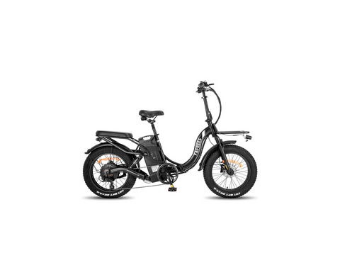 Fafrees F20 X-Max Electric Bike