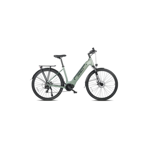 Fafrees FM9 Electric Bike