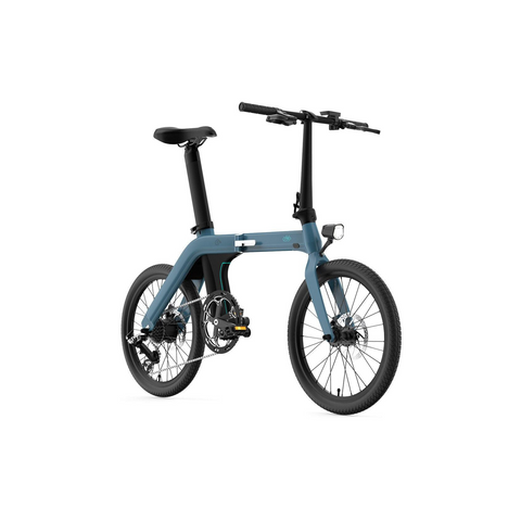 FIIDO D11 Electric Mountain Bike with mudguard and light