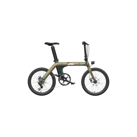 FIIDO D21 Folding Electric Bike with mudguard and light