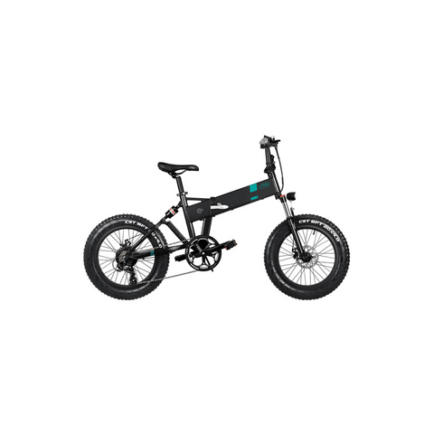 FIIDO M21 With Torque Sensor  Electric Bike