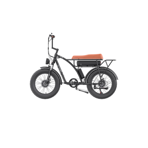 GOGOBEST GF750 Electric Bike