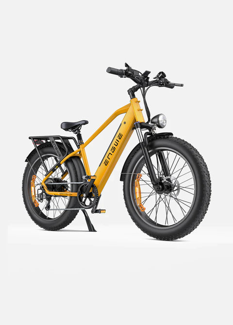 ENGWE E26 Electric Mountain Bike