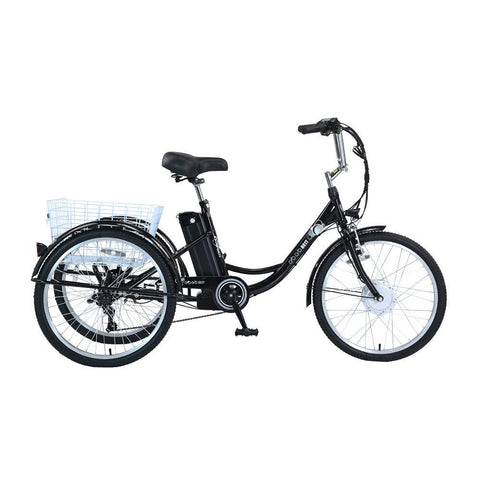 GOGOBEST GF100 Electric City Tricycle Cargo E-bike Preorder (Expected in December)