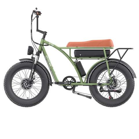 GOGOBEST GF750 Electric Bike