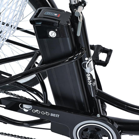 GOGOBEST GF100 Electric City Tricycle Cargo E-bike Preorder (Expected in December)