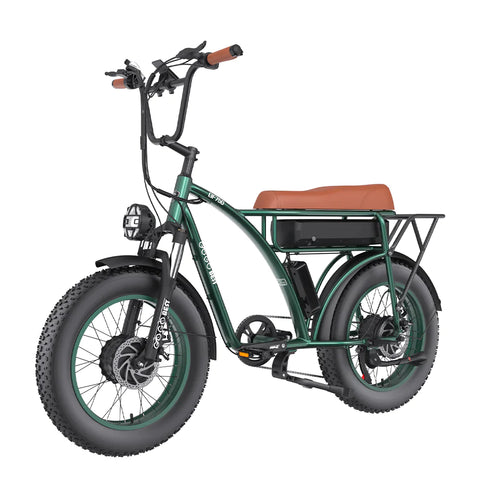 GOGOBEST GF750 Electric Bike