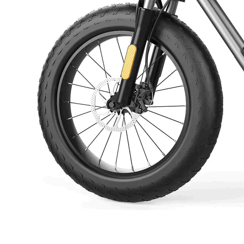 Coswheel T20 All Terrain Cargo Electric Bike