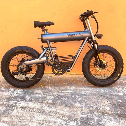 Coswheel T20 All Terrain Cargo Electric Bike