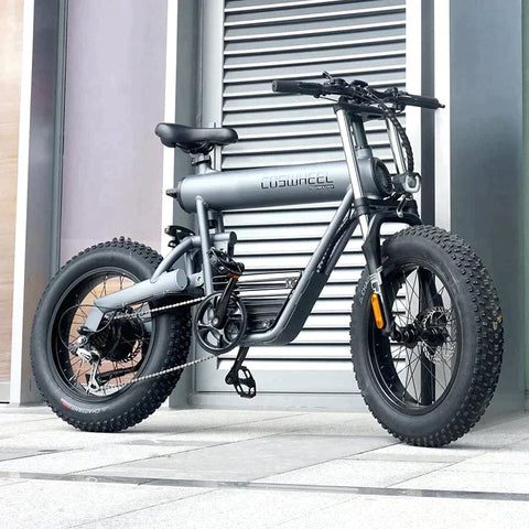 Coswheel T20 All Terrain Cargo Electric Bike