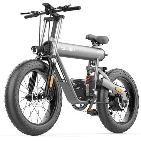 Coswheel T20 All Terrain Cargo Electric Bike