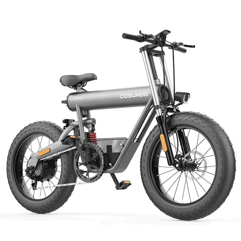 Coswheel T20 All Terrain Cargo Electric Bike