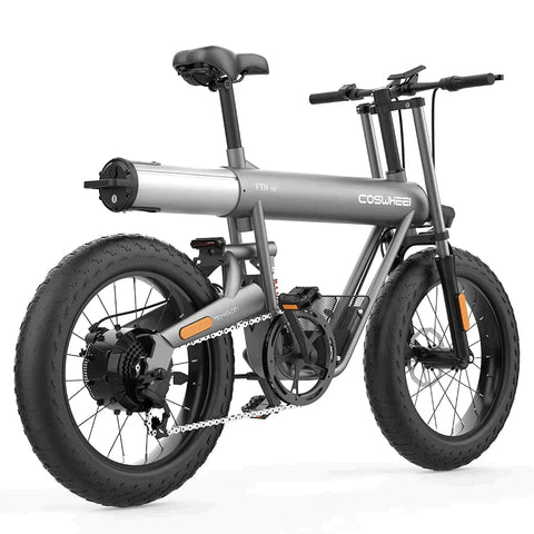 Coswheel T20 All Terrain Cargo Electric Bike