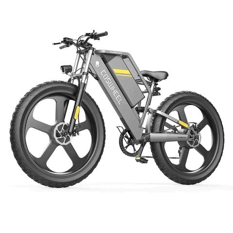 Coswheel T26 Cargo OFF-ROAD Electric Bike Preorder
