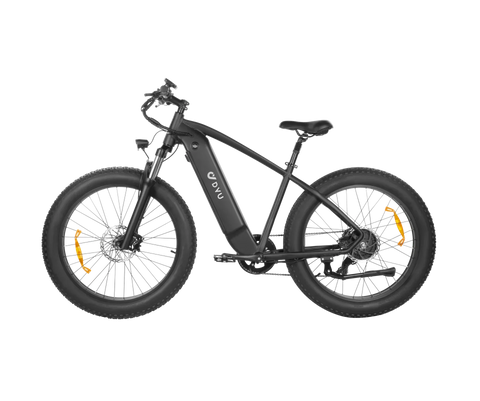 DYU King 750 Mountain E-Bike