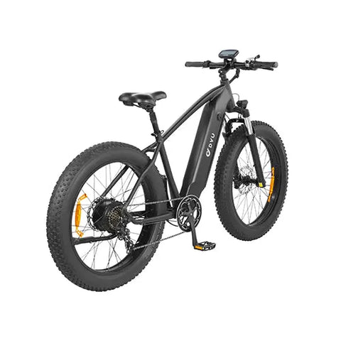 DYU King 750 Mountain E-Bike