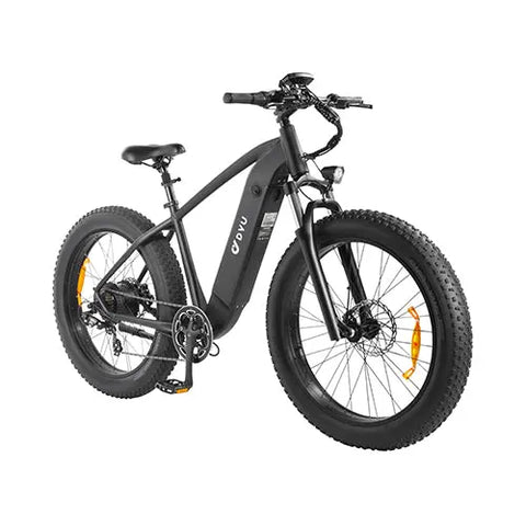 DYU King 750 Mountain E-Bike