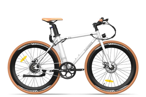 Fafrees F1-38C Electric Bike