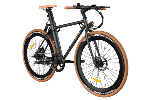 Fafrees F1-38C Electric Bike