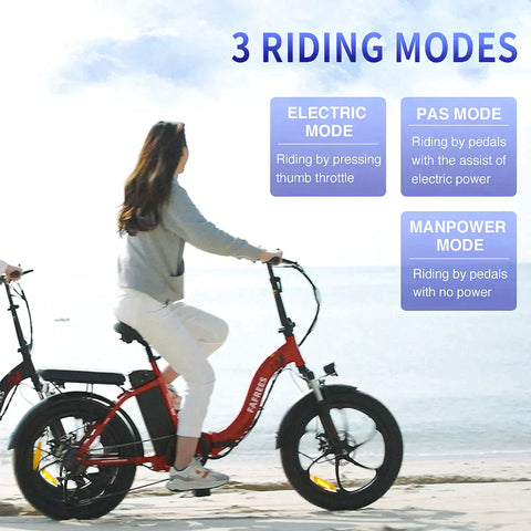 FAFREES F20 City - Electric Folding Bike