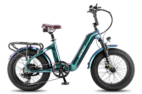 FAFREES F20 Master E-bike