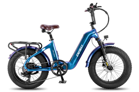 FAFREES F20 Master E-bike