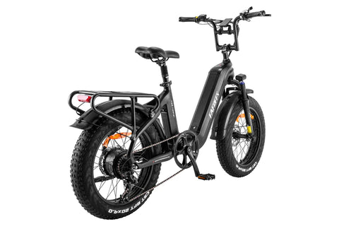 FAFREES F20 Master E-bike