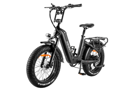 FAFREES F20 Master E-bike