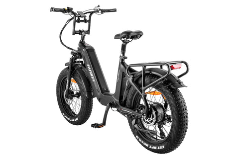 FAFREES F20 Master E-bike