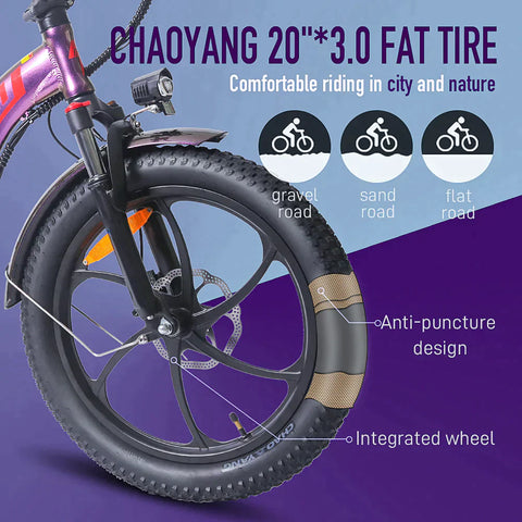 FAFREES F20 Pro City Electric Bike