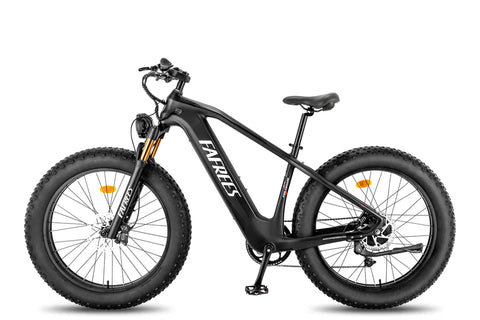 FAFREES F26 Carbon M E-bike