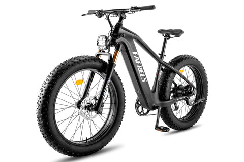 FAFREES F26 Carbon M E-bike