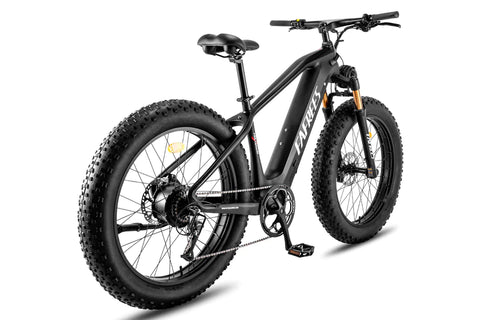 FAFREES F26 Carbon M E-bike