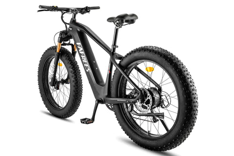 FAFREES F26 Carbon M E-bike