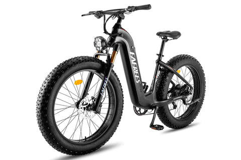 FAFREES F26 Carbon X E-bike