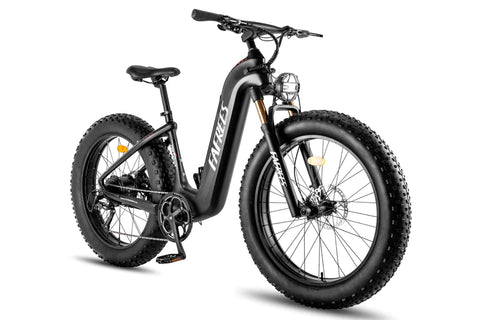 FAFREES F26 Carbon X E-bike