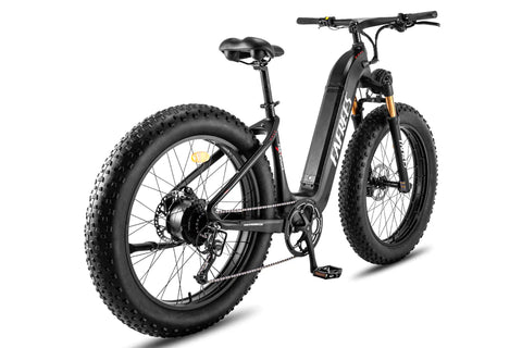 FAFREES F26 Carbon X E-bike