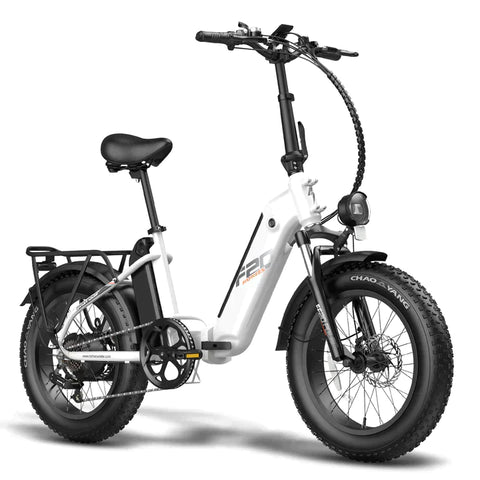 Fafrees FF20 Polar with Dual Batteries Electric Bike