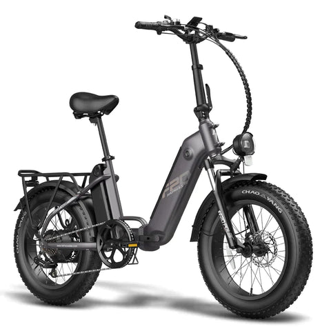 Fafrees FF20 Polar with Dual Batteries Electric Bike