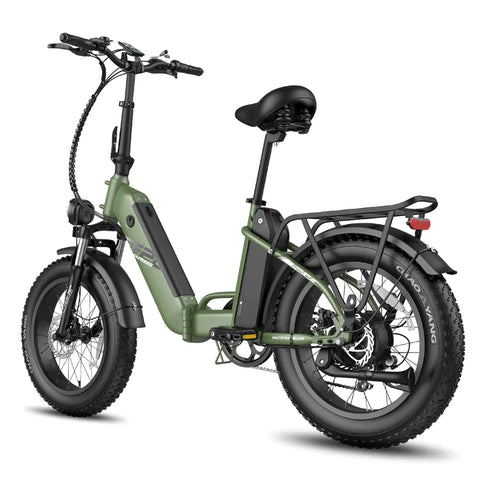 Fafrees FF20 Polar with Dual Batteries Electric Bike