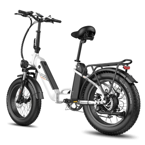 Fafrees FF20 Polar with Dual Batteries Electric Bike