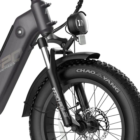 Fafrees FF20 Polar with Dual Batteries Electric Bike