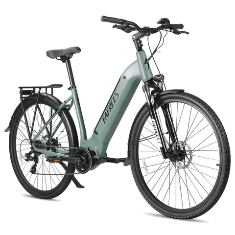 Fafrees FM9 Electric Bike